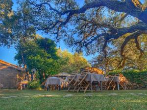 a group of tables and chairs under a tree at Agriturismo Casteddu in Padru
