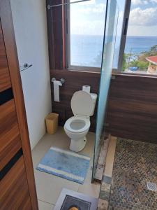un bagno con wc e finestra di OCEAN VIEW APARTMENTs a Belmont
