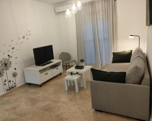 TV a/nebo společenská místnost v ubytování Apartamento Baran - Free Parking Gratis