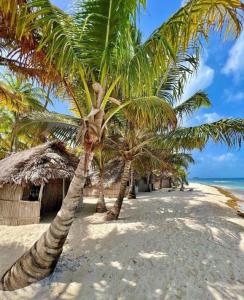 two palm trees on a sandy beach near the ocean at SAN-BLAS ISLA IGUANA Panamá in Playón-Chico