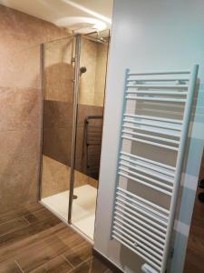 a shower with a glass door in a bathroom at Appartement Duplex les Cerisiers - Bilhac in Polignac +17 photos