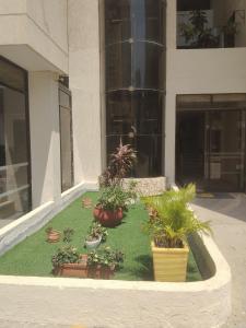 einen Innenhof mit Topfpflanzen vor einem Gebäude in der Unterkunft Apartamento Rodadero Con Piscinas y Cancha de Tennis in Rodadero