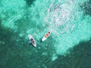 Příroda nedaleko hotelu