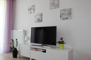 Televízia a/alebo spoločenská miestnosť v ubytovaní Przy Mocaku