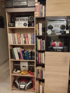 Knihovna v apartmánu