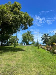 Fotografija u galeriji objekta Fare chez Franck u gradu Tevaitoa