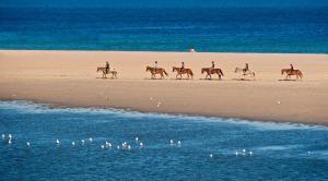 a group of people riding horses on the beach at Chia Laguna - Hotel Village in Chia