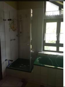 a bathroom with a green tub and a window at Ferienwohnung Schindele am Bodensee in Langenargen