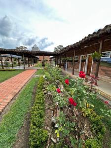 Giardino di Casa Lisieux- Jericó