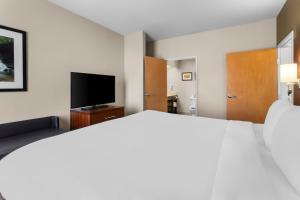 Gallery image of Comfort Suites At Rivergate Mall in Goodlettsville +17 photos