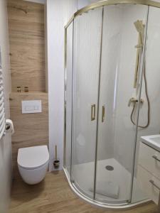 a bathroom with a shower with a toilet and a sink at Willa Atena in Świnoujście +39 photos