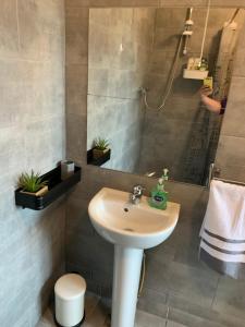 a bathroom with a sink and a shower at The Cosy Castaway in Wexford +27 photos