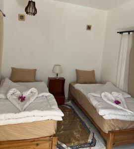 Letto o letti in una camera di Dahab Lodge