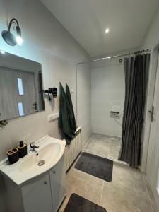 Ένα μπάνιο στο Apartamencik przy trasie nr 2 Bielsko-Biała