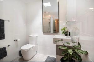a bathroom with a toilet and a sink and a mirror at Huge Luxury Busselton Jetty in Busselton +22 photos