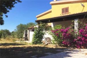 a house with pink flowers in front of it at Holiday home in Sassari 53785 in Sassari