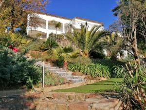 La NartelleにあるLa Meréveilの階段とヤシの木がある丘の上の家