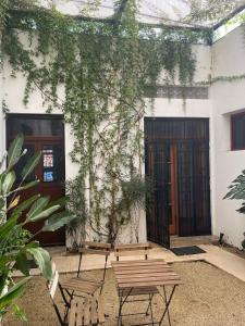 Fotografie z fotogalerie ubytování Casa Lluavi - Caliope v destinaci Mérida