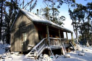 a small wooden cabin in the snow with trees at Wombat Cabin in Moina