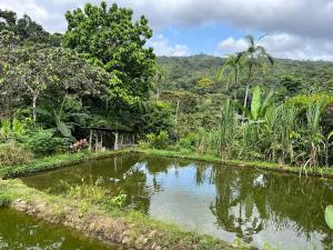 Paisagem natural perto da casa de hóspedes