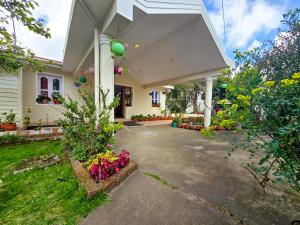 Zahrada ubytování Vibe inn kodai