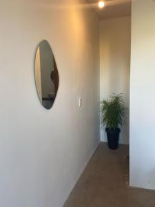 a mirror on a wall with a potted plant at Sol Suítes Caraíva in Porto Seguro +9 photos