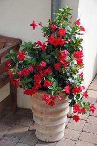 a large vase with red flowers in it at Glück im Kohlenpott in Bottrop