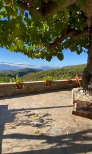 a patio with a tree and a view at Panorama Traditional Village House in Kamarítsa