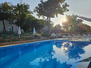 a swimming pool with chairs and umbrellas in a yard at Oskar Sunny House - Adults Only in Gabonjin