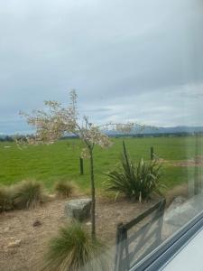 Afbeelding uit fotogalerij van Harakeke House in Fairlie