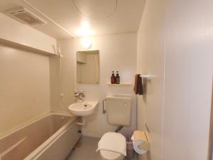 a small bathroom with a toilet and a sink at Tokashiku Marine Villege in Tokashiki