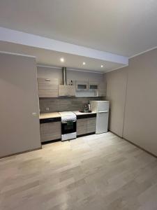 Kuchyň nebo kuchyňský kout v ubytování Apartamentai Jonavoje #1