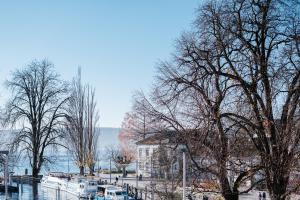 a group of boats are docked at a marina at Ferienwohnungen am Mantelhafen Typ 1 in Überlingen
