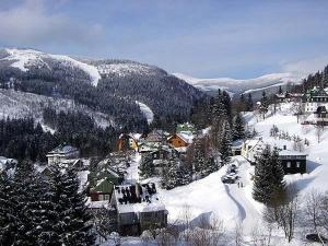 a town covered in snow with trees and houses at Pension-Apartmany Apollo in Špindlerův Mlýn