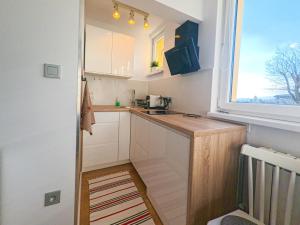 małą kuchnię ze zlewem i oknem w obiekcie Apartament Parkowy Rabka w Rabce