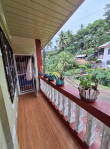 a balcony with potted plants sitting on a ledge at Gravino Homestay in Kawayan