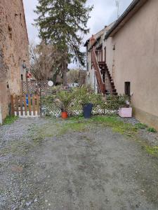 a yard with some plants and a building at Le nid du Berry in Célon