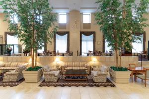 eine Lobby mit Bäumen, einer Couch und Stühlen in der Unterkunft Authent Hotel Otaru in Otaru + 132 Fotos