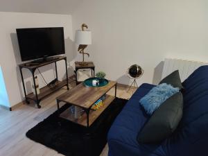 a living room with a blue couch and a tv at Le nid du Berry in Célon