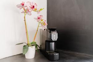 a coffee machine and a vase with flowers next to it at Suite Black and White in Otranto