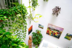Vonkajšia záhrada v ubytovaní Un Patio en Santa Cruz
