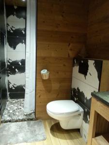 um banheiro com vaso sanitário e chuveiro em GITE DE MONTAGNE "LE CALOU" AVEC CHEMINEE ET JACUZZI situé à St Laurent-en-Grandvaux em Saint-Laurent-en-Grandvaux