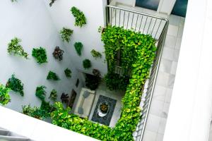 Vonkajšia záhrada v ubytovaní Un Patio en Santa Cruz