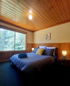 a bedroom with a bed with blue sheets and a window at Jimmara Views 3bd with Pinnacle outlook in Halls Gap
