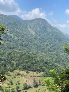 Fotografie z fotogalerie ubytování Relax Mountain Guest Inn Badulla v destinaci Badulla