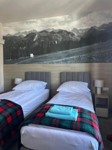 Dos camas en un dormitorio con un cuadro en la pared. en Willa Alta, en Bukowina Tatrzańska