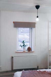 a bedroom with a window with a plant on a window sill at Holiday House LIL Home in Krāslava