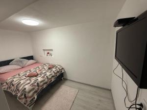 a bedroom with a bed and a flat screen tv at Apartments AZRA in Konjic