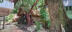 Zahrada ubytování Jungle House Kep