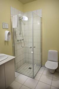 a bathroom with a shower and a toilet at Hotel Gullfoss in Haukadalur